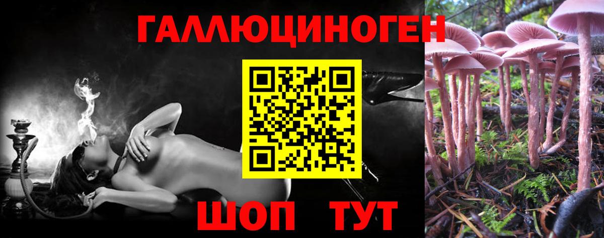 Светлоград  Галлюциногенные грибы Cubensis  Вход с VPN  наркота  Псилоцибиновые грибы мицелий 